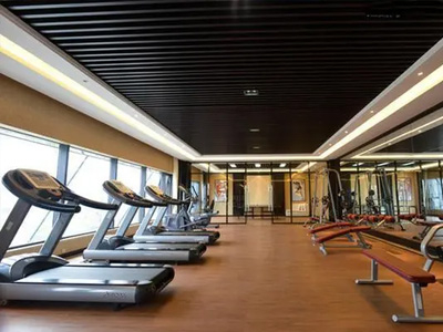 What are the top ten commonly used gym equipment